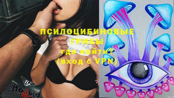 каннабис Абаза