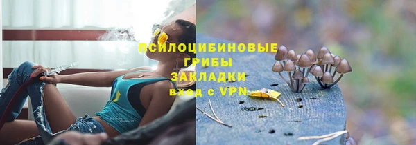 дурь Абинск